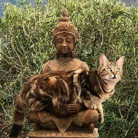 코마레스 Casa Ganesha 빌라 외부 사진